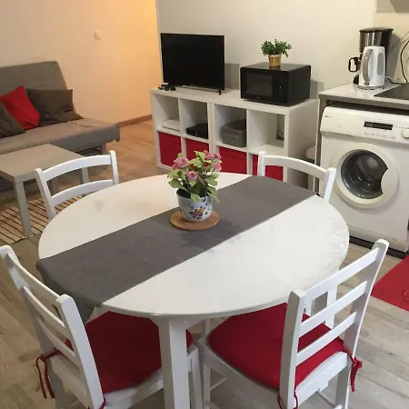 Grand Duplex De Charme-bordeaux דירה