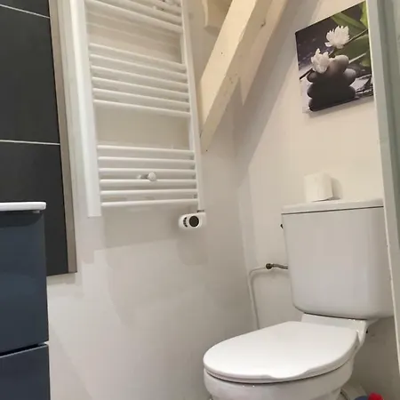 Grand Duplex De Charme-bordeaux *